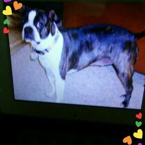 Meet your Posher, Connie